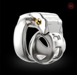 Cage de chasteté en acier inoxydable HT-V4