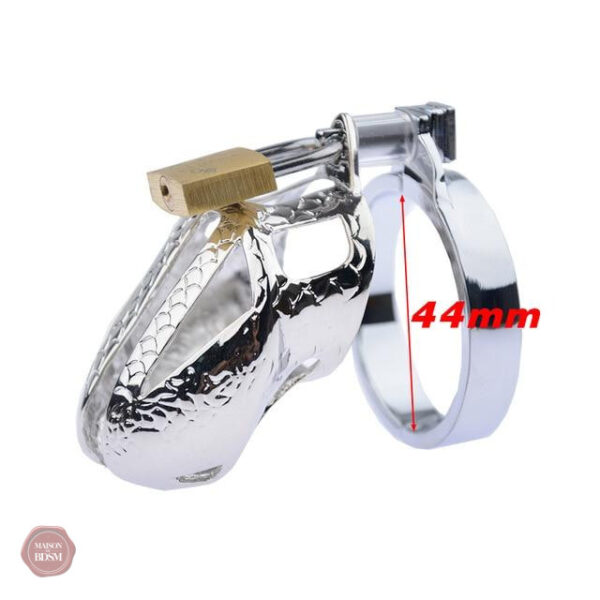 Chasteté en métal, design Dragon Tamer, 5 cm