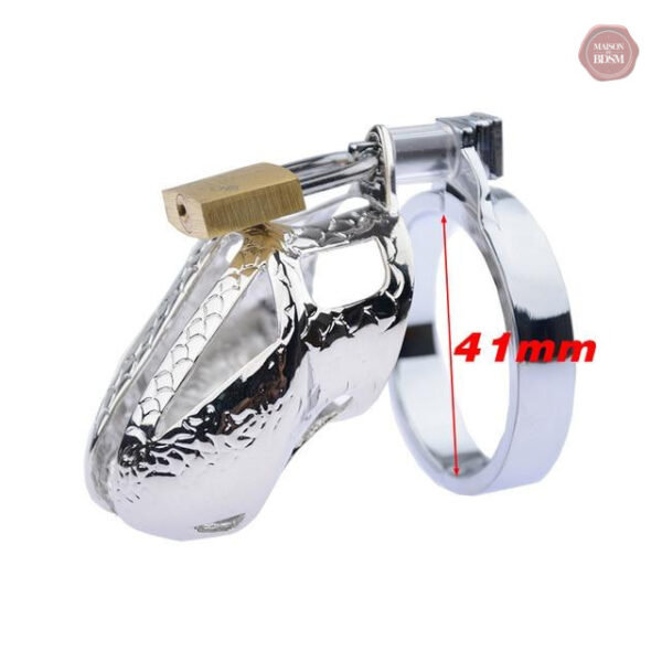 Cage Dragon Tamer, métal, 5 cm de longueur