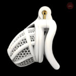 Cage de chasteté 3D pour jeux de soumission