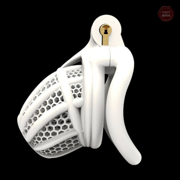Cage de chasteté 3D pour jeux de soumission