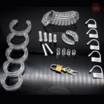 Cage de chasteté en plastique, modèle FX 10 transparent