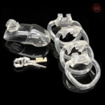 Cage de chasteté GB 3000, design en résine moderne