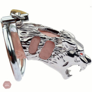 Accessoire de chasteté masculin en acier inoxydable