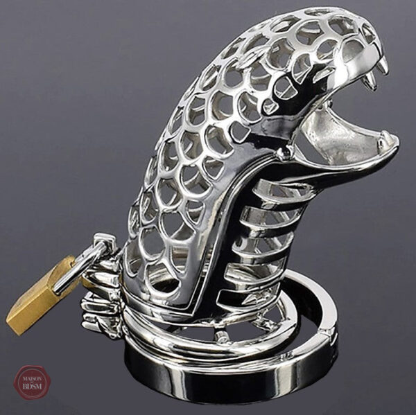 Cage de chasteté homme en acier - modèle The Snack