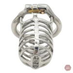 Cage de chasteté élégante en acier inoxydable