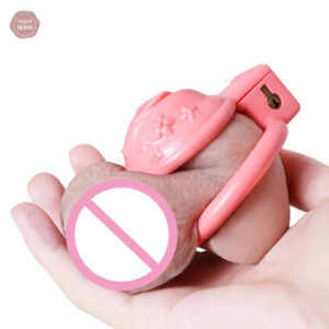 Cage de chasteté homme 3D BDSM Sissy