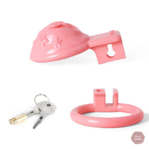 Cage de chasteté pour sissy en design 3D