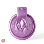 Équipement de chasteté pour hommes sissy