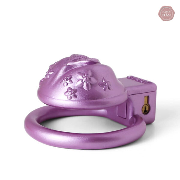 Cage de chasteté 3D pour pratique BDSM