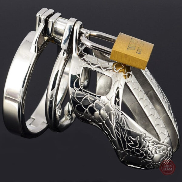 Cage de chasteté en métal robuste pour homme