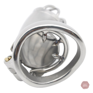 Cage de chasteté en métal pour hommes, modèle BX 200