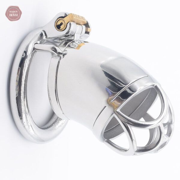 Cage de chasteté en métal pour homme, modèle DeepFlower