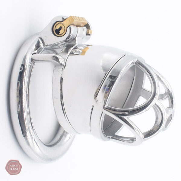 Cage de chasteté en métal pour hommes, modèle DeepFlower