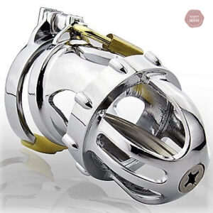 Accessoire de chasteté en métal pour hommes, style Dragon