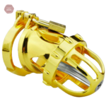 Cage de chasteté homme en métal avec design dragon or