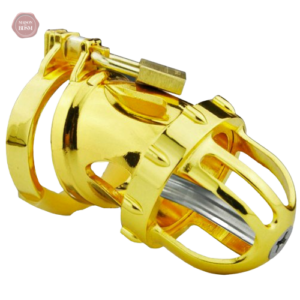 Cage de chasteté homme en métal avec design dragon or
