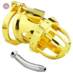 Accessoire de chasteté masculin, style dragon or