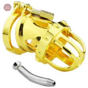 Accessoire de chasteté masculin, style dragon or
