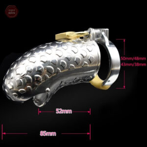 Cage de chasteté en métal robuste pour hommes
