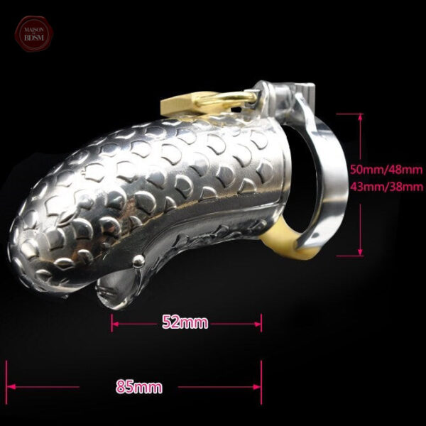 Cage de chasteté en métal robuste pour hommes