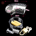 Accessoire de chasteté Godzilla pour contrôle masculin