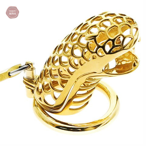 cage-de-chastete-homme-metal-godzilla-or-1 Cage de chasteté homme en métal Godzilla Or