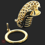 Accessoire de chasteté masculin en métal doré