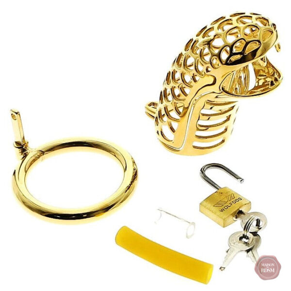 Cage de chasteté homme, style Godzilla en métal