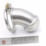 Cage de chasteté en métal pour homme, design La vierge L