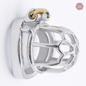 Cage de chasteté métallique pour homme, modèle compact