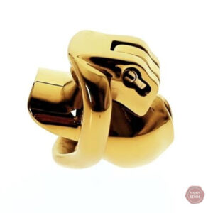 Cage de chasteté en métal pour homme, finition dorée