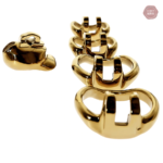 Cage de chasteté métallique Master Gold, design élégant