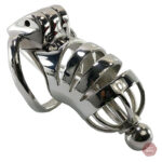 Cage de chasteté homme en métal - Panthère S