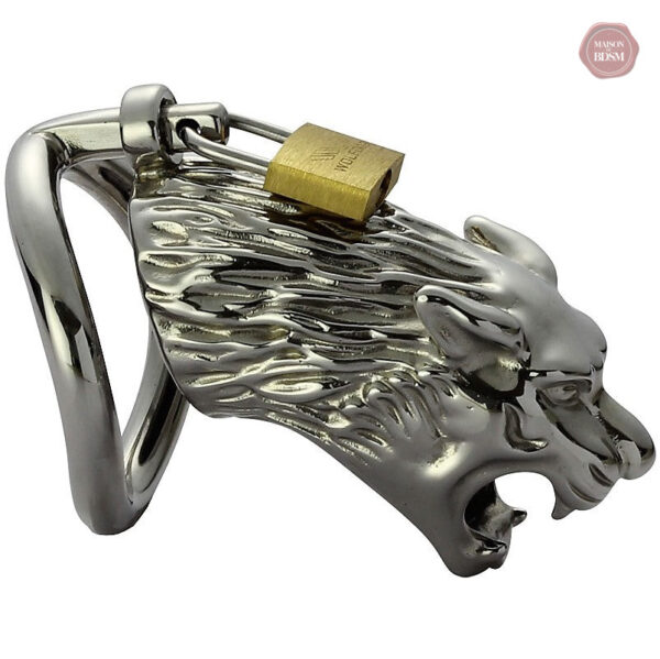 Cage de chasteté homme en métal - Puma