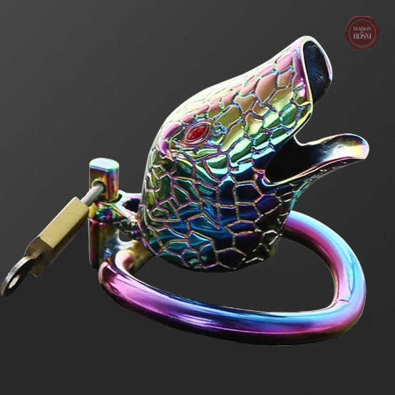 cage-de-chastete-homme-metal-serpent-arc-en-ciel-1 Cage de chasteté homme en métal - Serpent arc-en-ciel