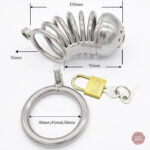 Cage de chasteté en acier pour une expérience intense