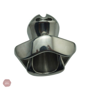 Accessoire de chasteté en métal, design élégant doré