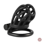 Cage de chasteté masculine compacte et discrète