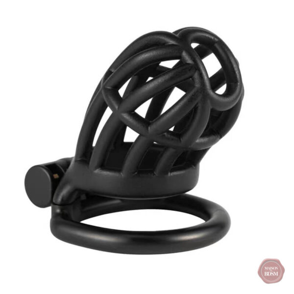 Cage de chasteté masculine compacte et discrète