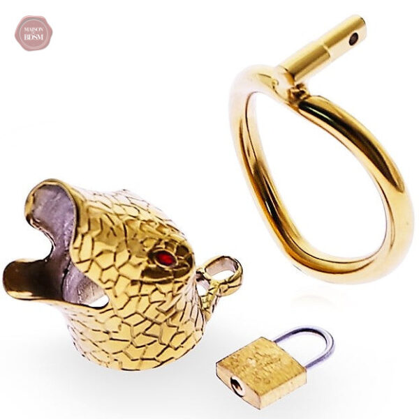 Cage de chasteté homme, motif serpent élégant