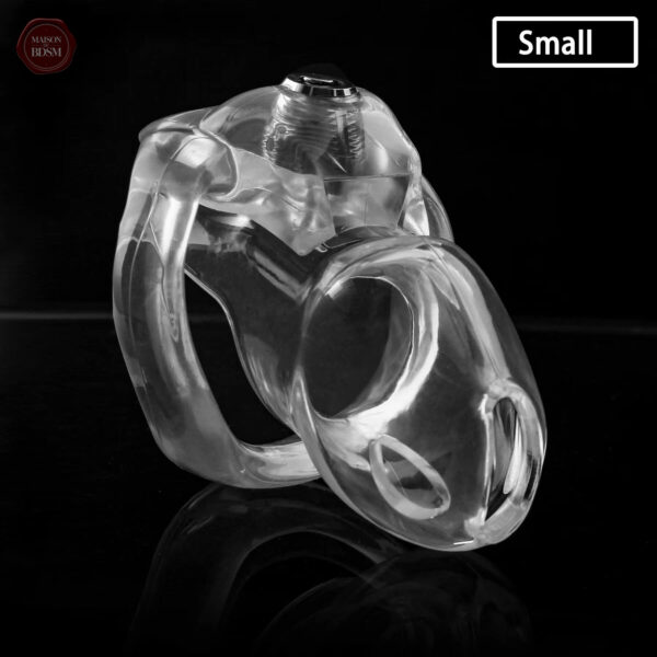 Accessoire BDSM - cage de chasteté pour couples