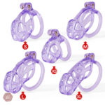 Cage de chasteté Ice Vision, modèle Cobra