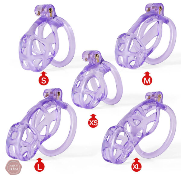 Cage de chasteté Ice Vision, modèle Cobra