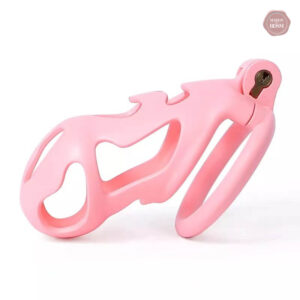 Cage de chasteté personnalisable, style unique