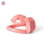Cage de chasteté imprimée en 3D design Sakura