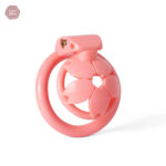 Cage de chasteté 3D, modèle compact et discret