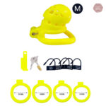 Cage de chasteté, accessoire de jeu intime
