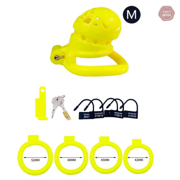 Cage de chasteté, accessoire de jeu intime