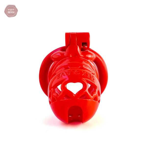 Cage de chasteté moderne, matériau durable